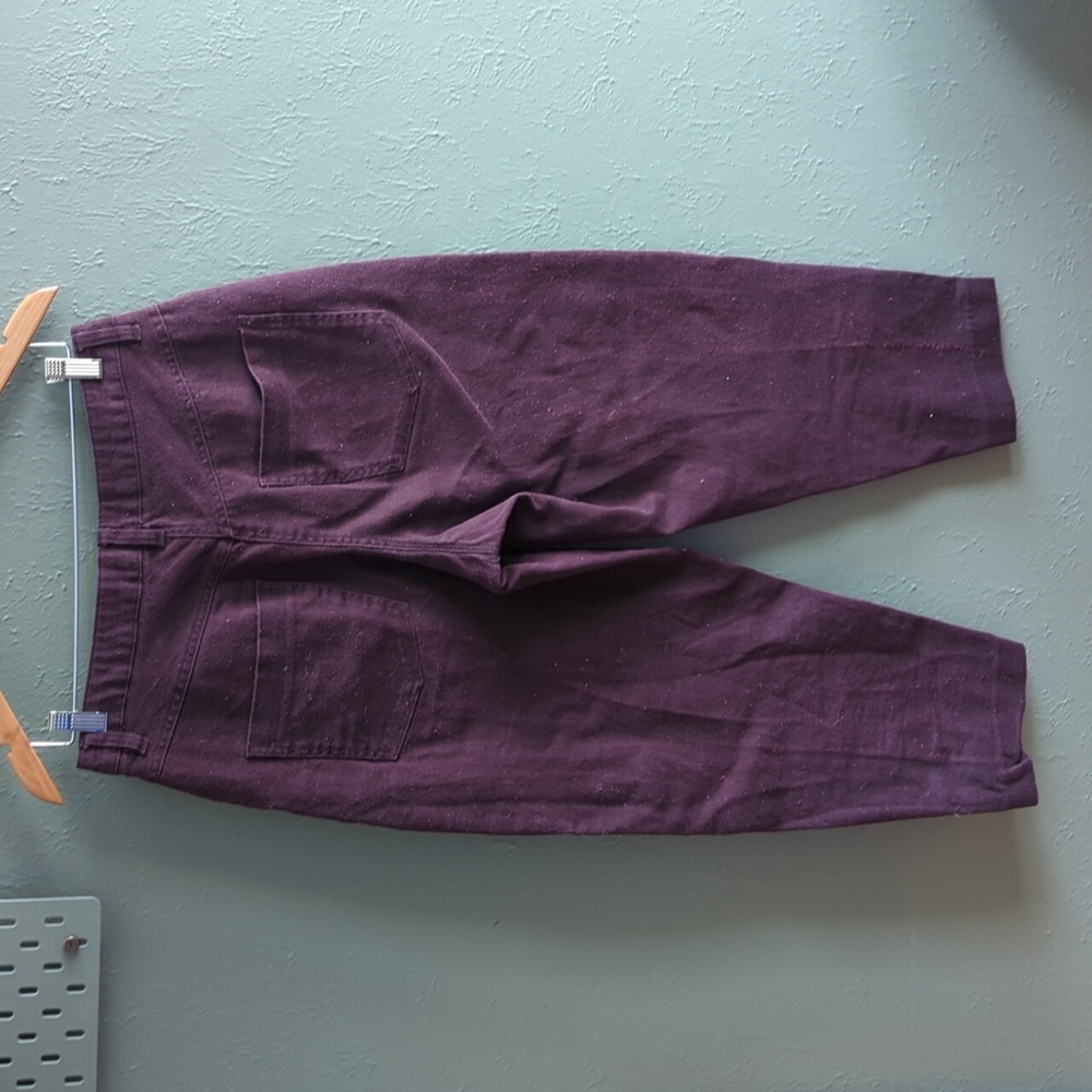 Frank & Oak Plum Amelia Balloon Pants - Picture 3 of 10